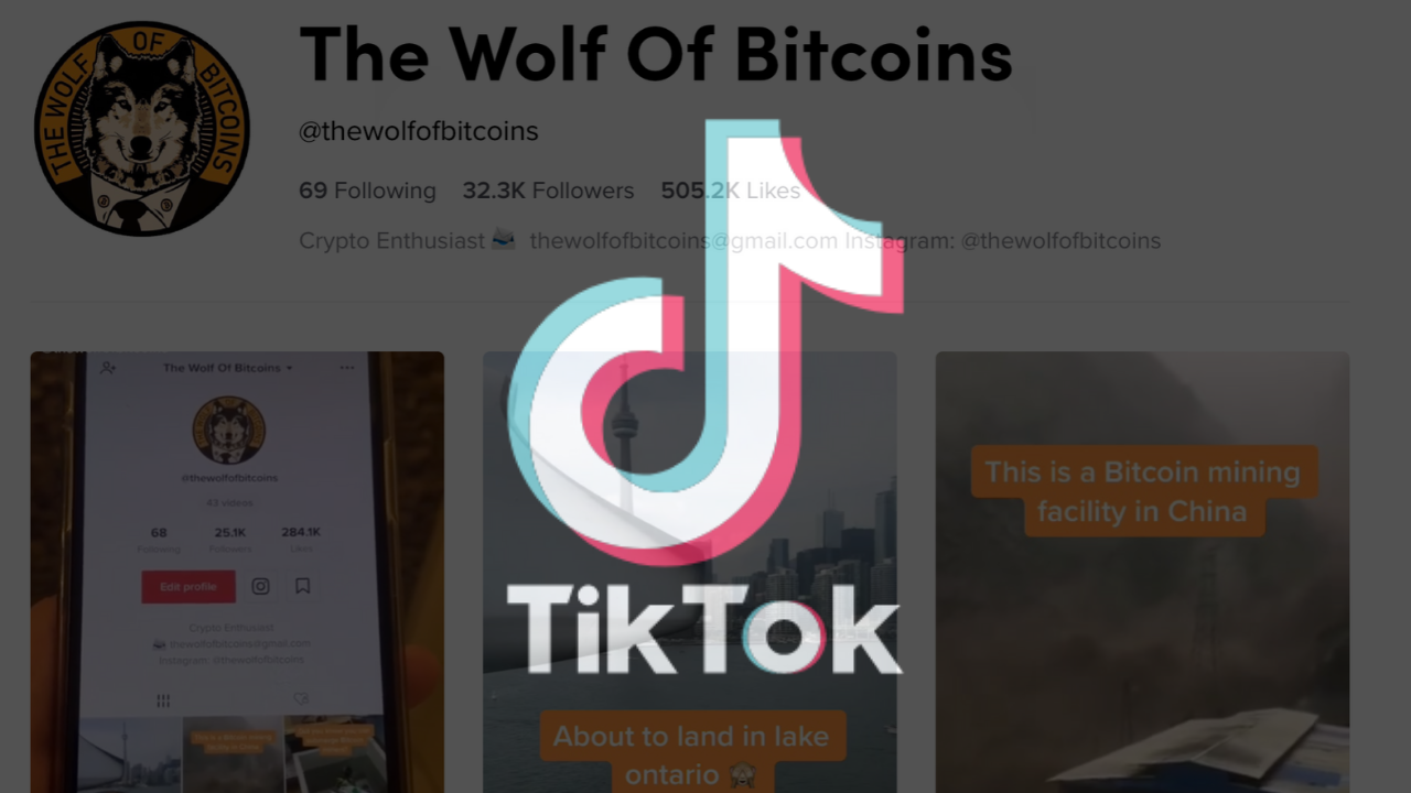 Wolf of Bitcoins TikTok